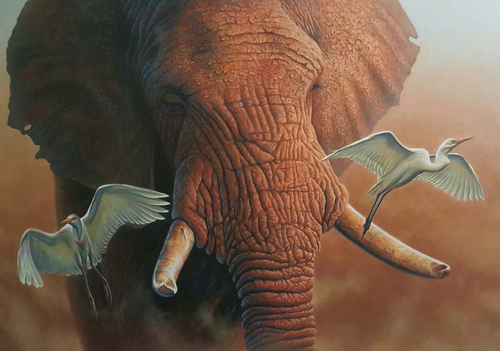 Nomad At Dusk Nomad At Dusk