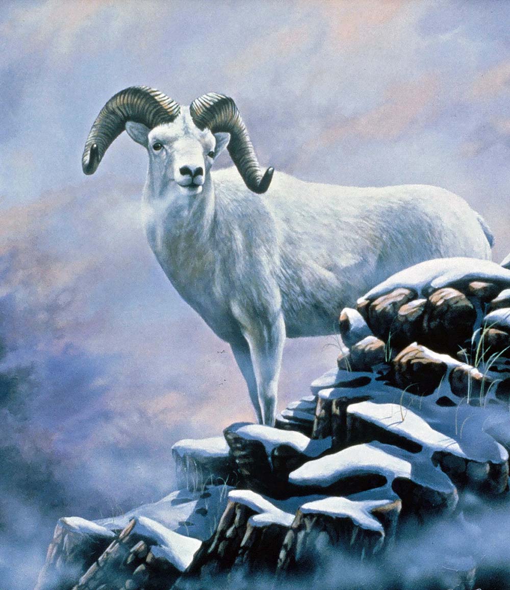 Magic Mountain Magic Mountain