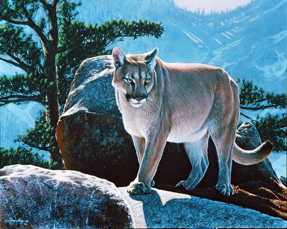 Sierra Summit Sierra Summit