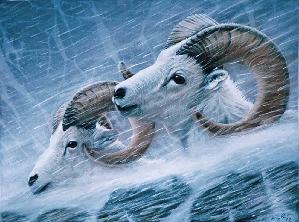 Weathering the Storm Weathering the Storm