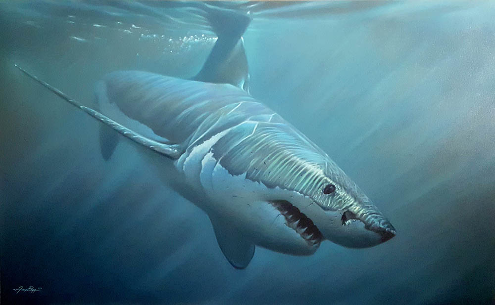 Beyond the Break Beyond the Break