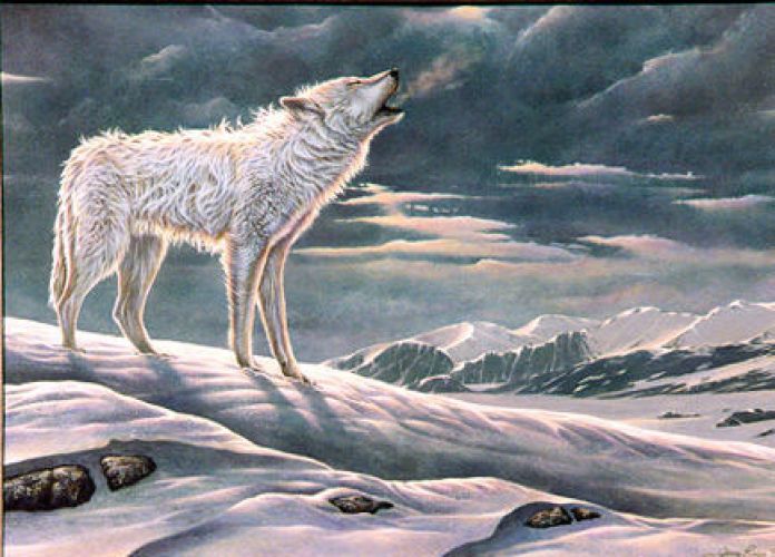 Call of the Arctic Call of the Arctic