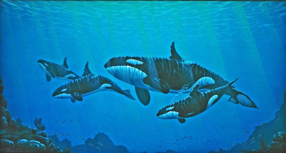 Coastline Cruise Coastline Cruise