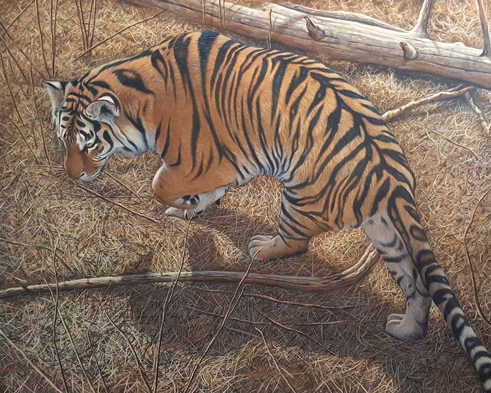 Under the Pines Under the Pines